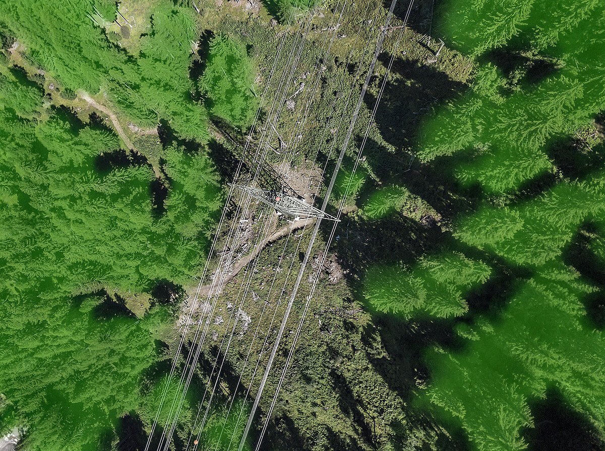 Satellite image of a power line with encroaching trees.