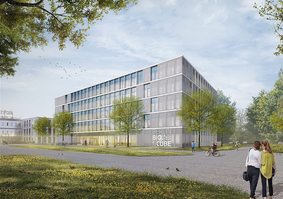 The BerlinBioCube, incubator for biotech and medtech startups under construction in Campus Berlin-Buch