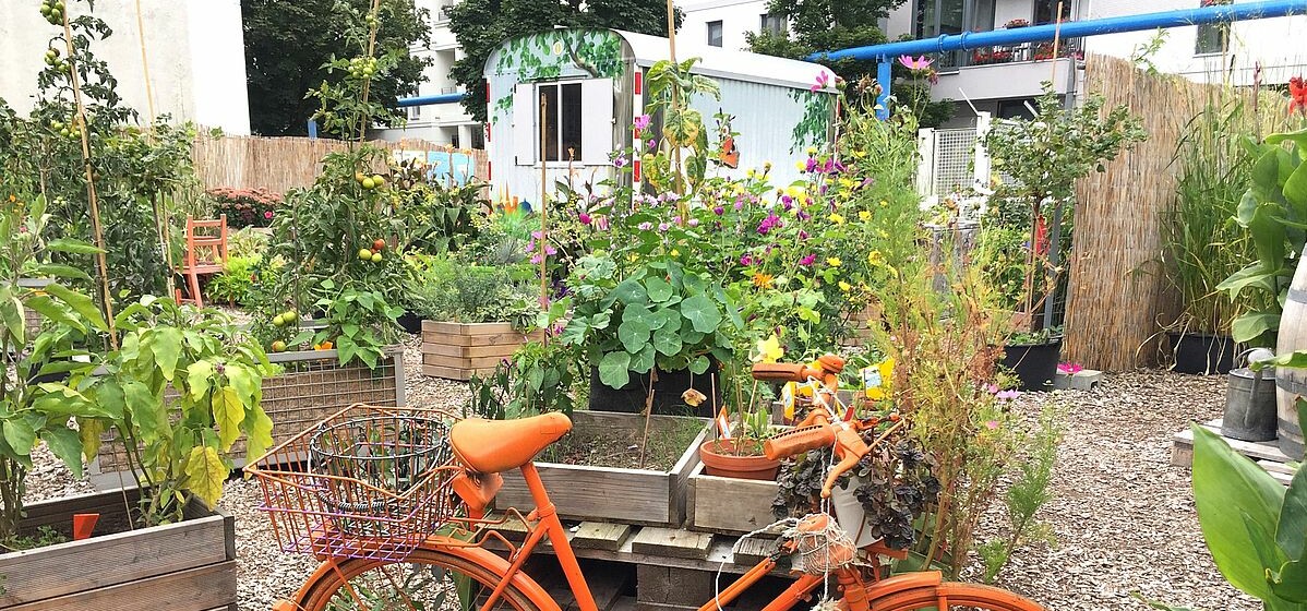 Urban Gardening Neue Grünstrasse