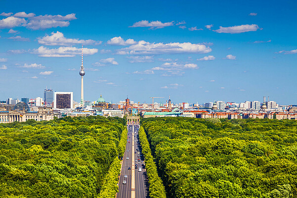 Berlin Mitte - View Tiegarten