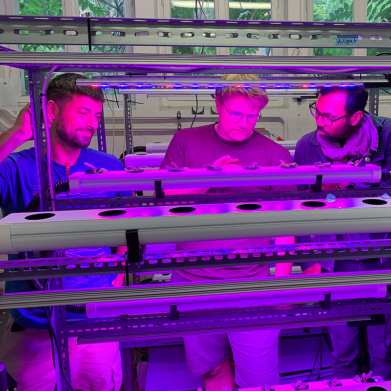 Vertical farms increase efficiency by growing crops in a controlled environment which rely on artificial light.